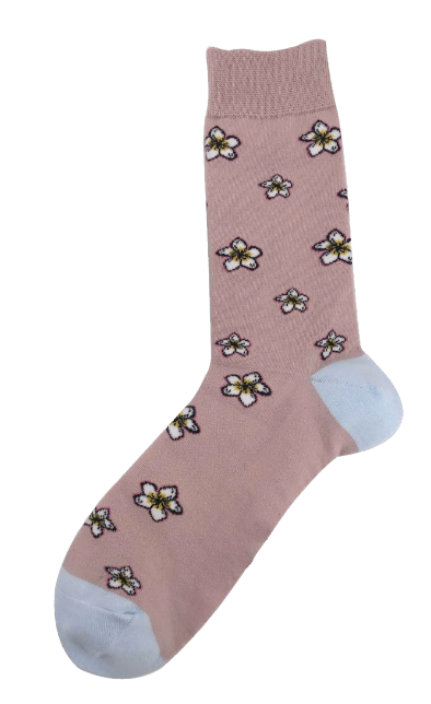 Frangipani | Kakana Range | Kuti Sox