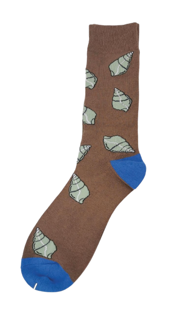 Manus Green Tree Snail | Kakana Range | Kuti Sox
